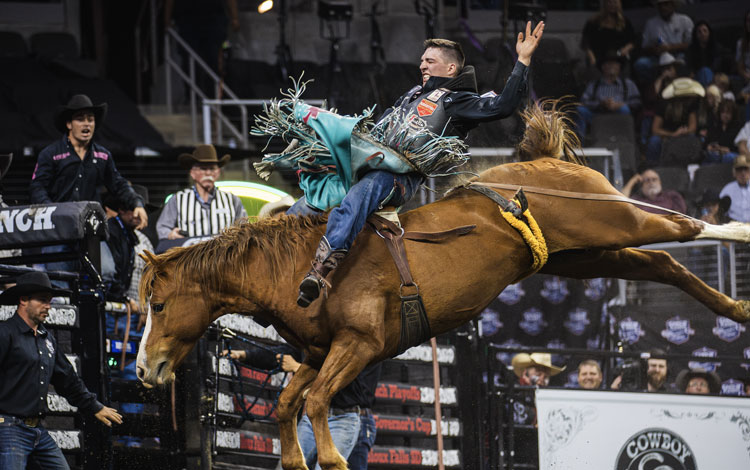 Jess Pope on a horse at a rodeo.